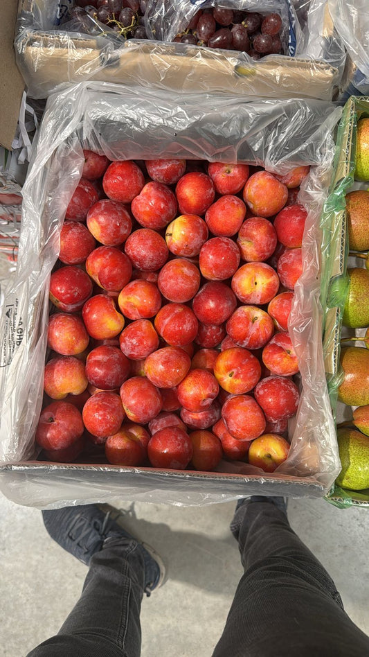 Red Plum S/Africa 5kg برقوق احمر افريقي