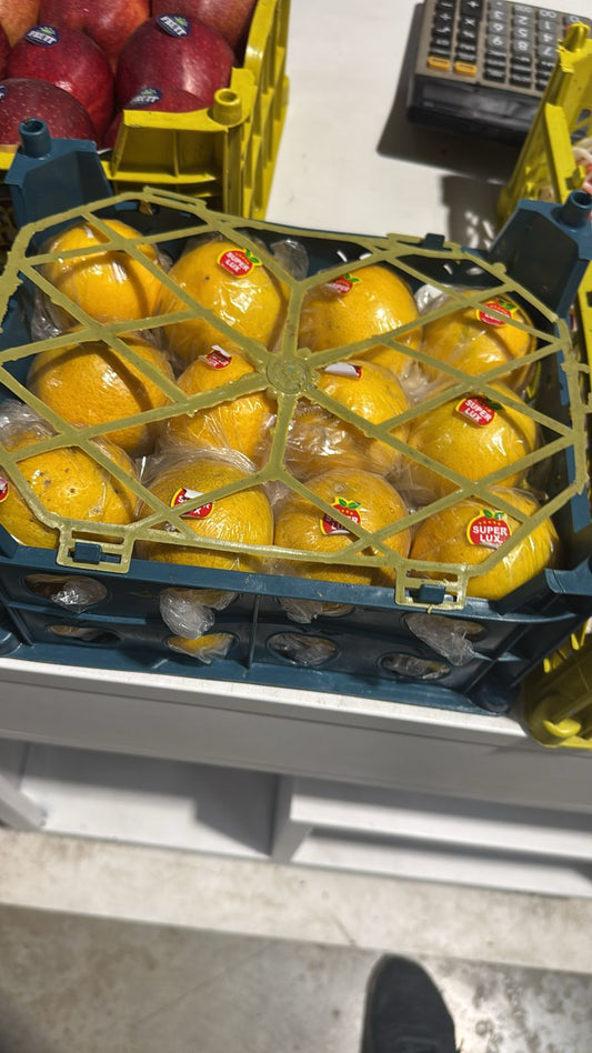Citrus limettioides/ Iran 1.5kg سفرجل ايراني