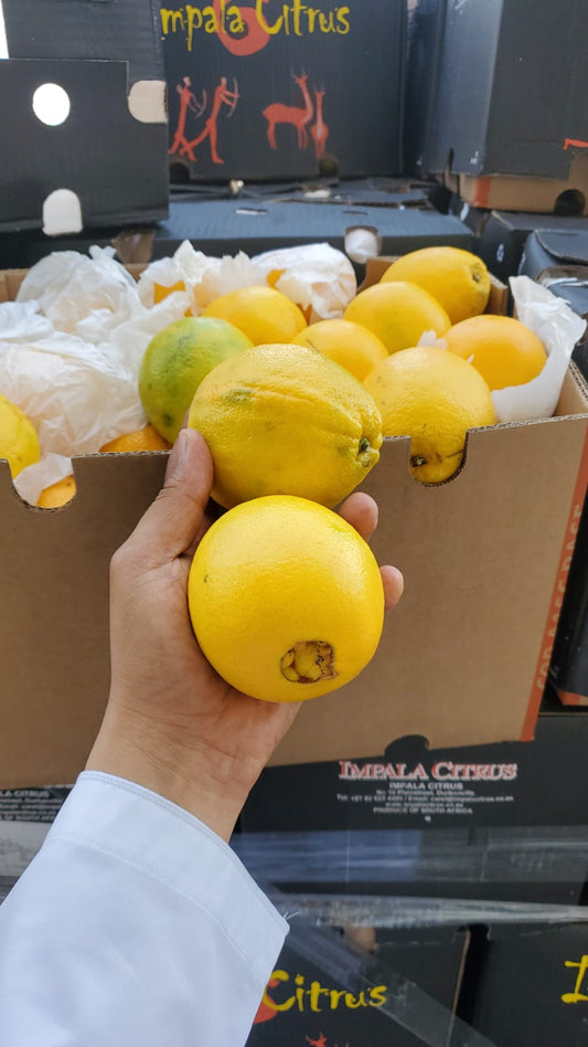 Orange abu sura S/Africa 15kg برتقال ابوصرة افريقي