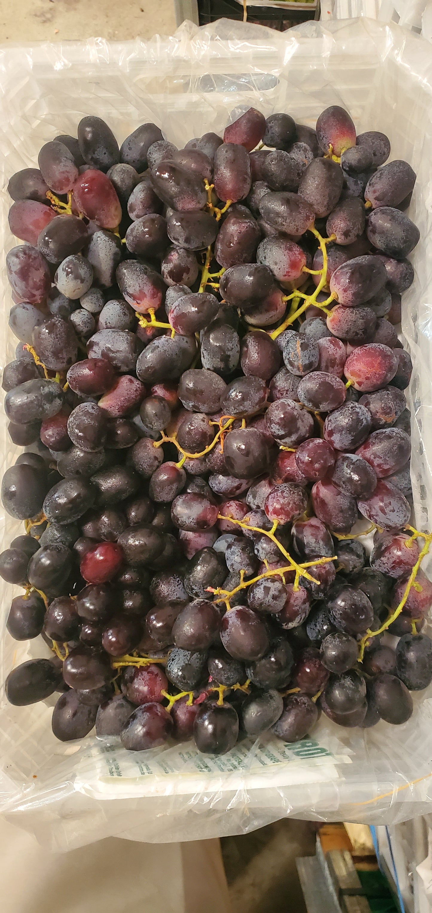 Grapes Black/ Lebanon 3.5kg عنب اسود لبناني