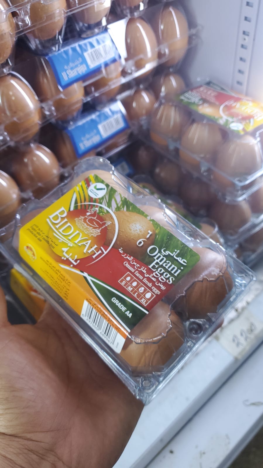Eggs Omani/Bidiya (1*6) 30PCT كرتون  بيض عماني