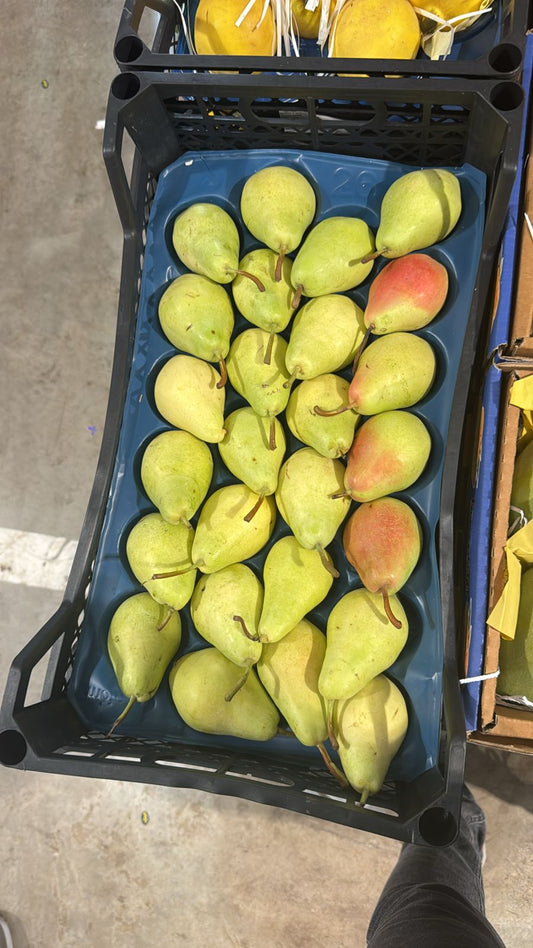 Pears/ Turkey 4.5-5kg كمثرى تركي