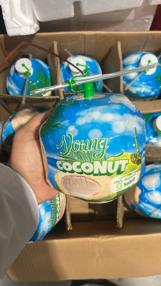 TENDER COCONUT VIETNAM (1*9) مشلي/ فيتنامي