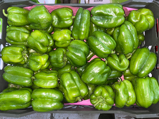 Bell Pepper/ Iran 8kg فلفل رومي ايراني