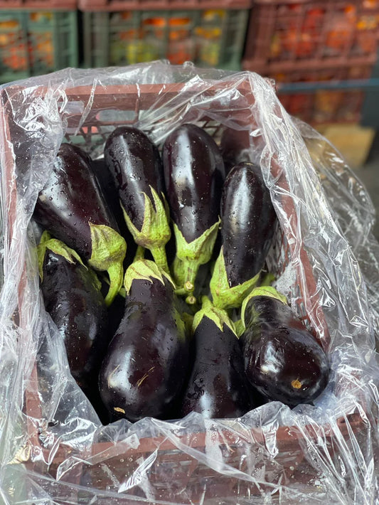 Eggplant/ Oman box 7kg باذنجان عماني كرتون
