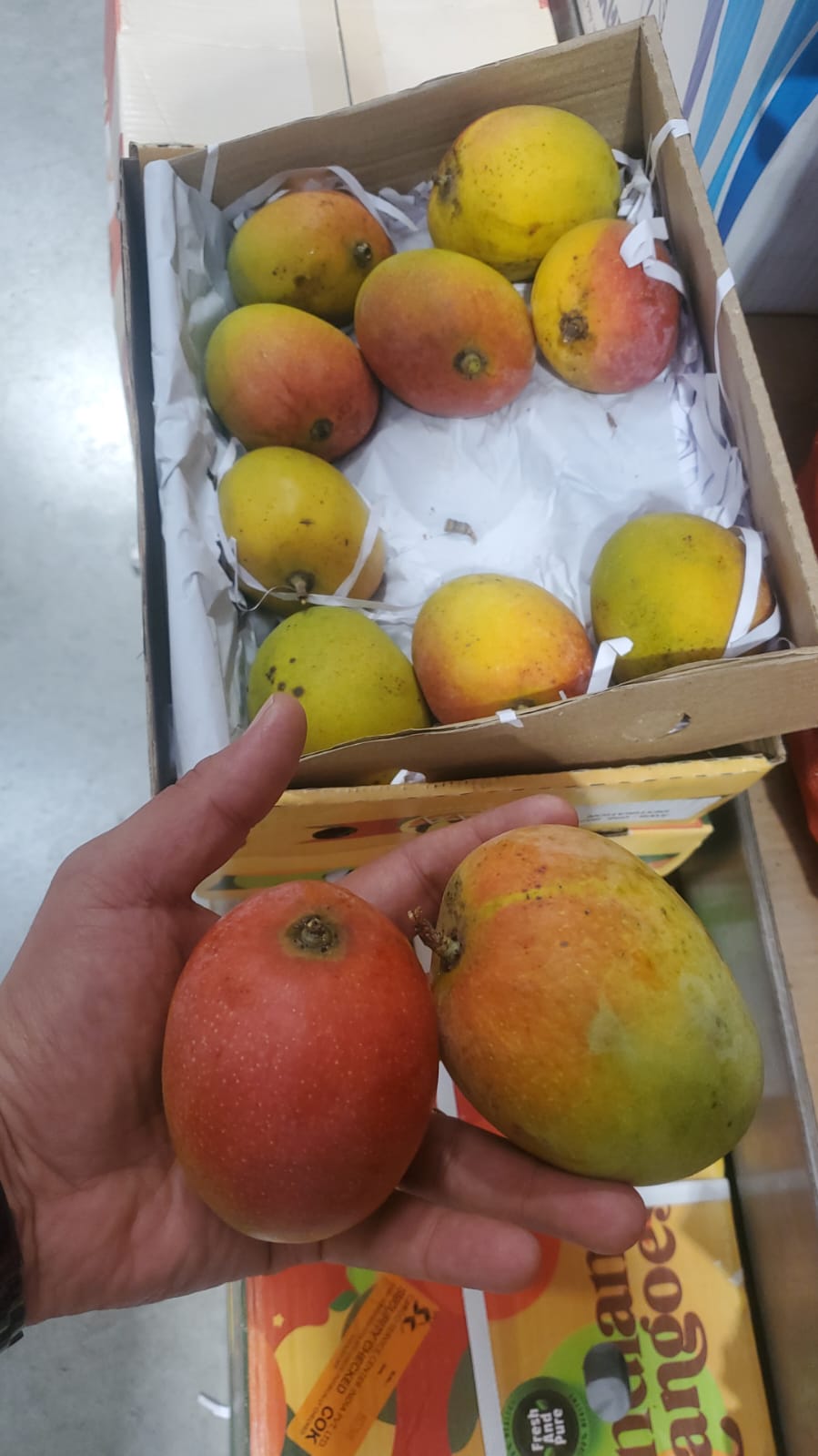 Mango Alphonso/ India 2kg مانجو الفونسو هندي