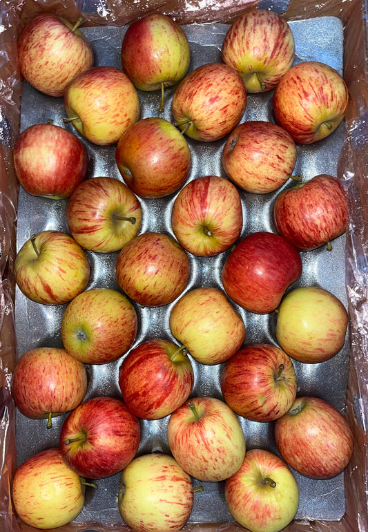 APPLE RYL S/A 18kg تفاح رويال غالا/ ج افريقيا