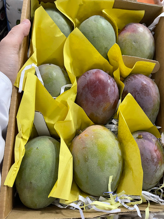 MANGO KALBATHOOR 3.5kg  مانجو قلب الثور
