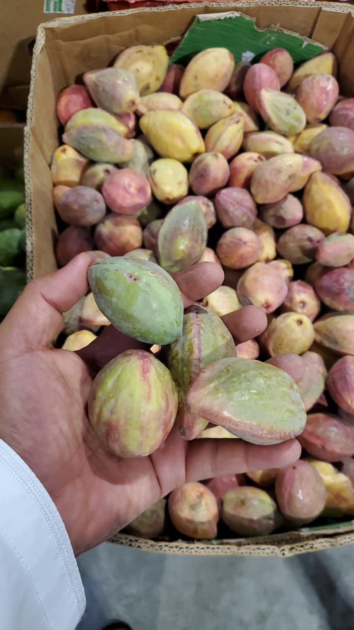 Bidham/ Oman كرتون بيذام عماني