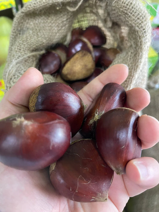 CHESTNUT 3.5kg كستناء (بندق)
