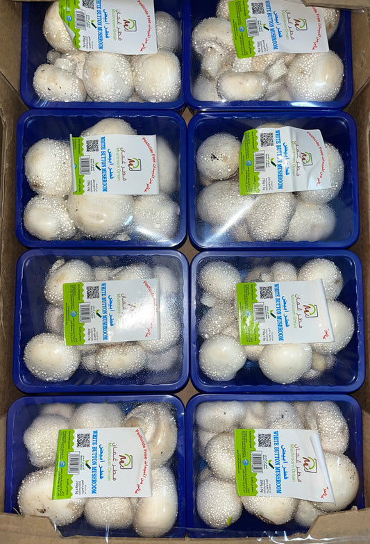 Mushroom White 8x250g مشروم ابيض