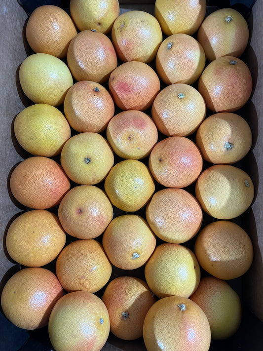 GRAPEFRUIT S/A 17kg جريب فروت/ ج افريقيا