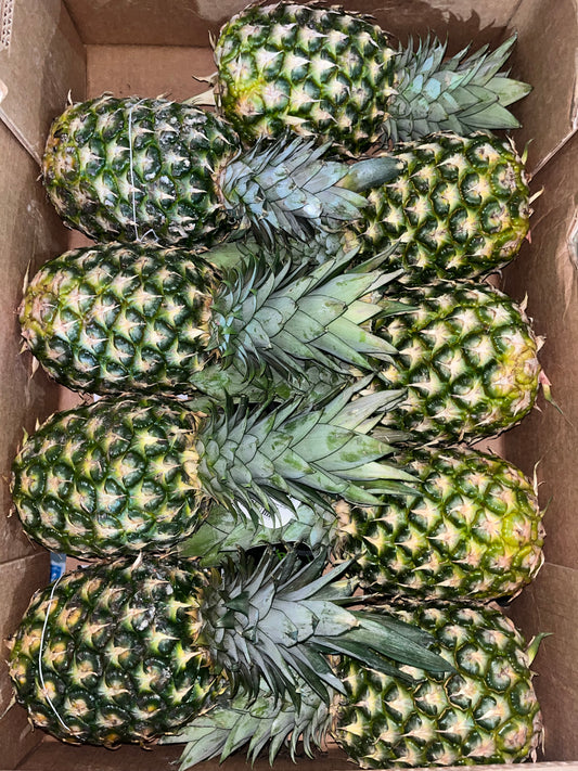 Pineapple box (9*1) اناناس