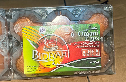 EGG BIDIYA (1*6) PCS كرتون بيض بدية