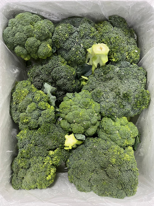 Broccoli/ Iran 6kg بروكلي ايراني