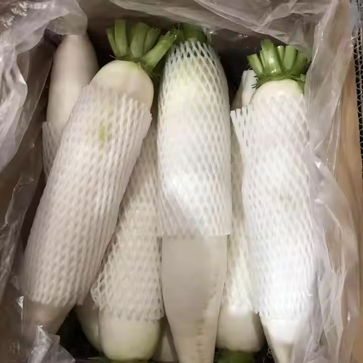 RADISH WHITE 8-9kg فجل ابيض