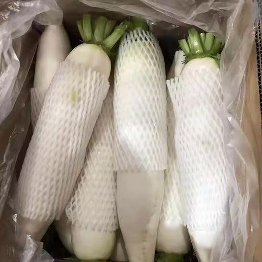 RADISH WHITE 8-9kg فجل ابيض