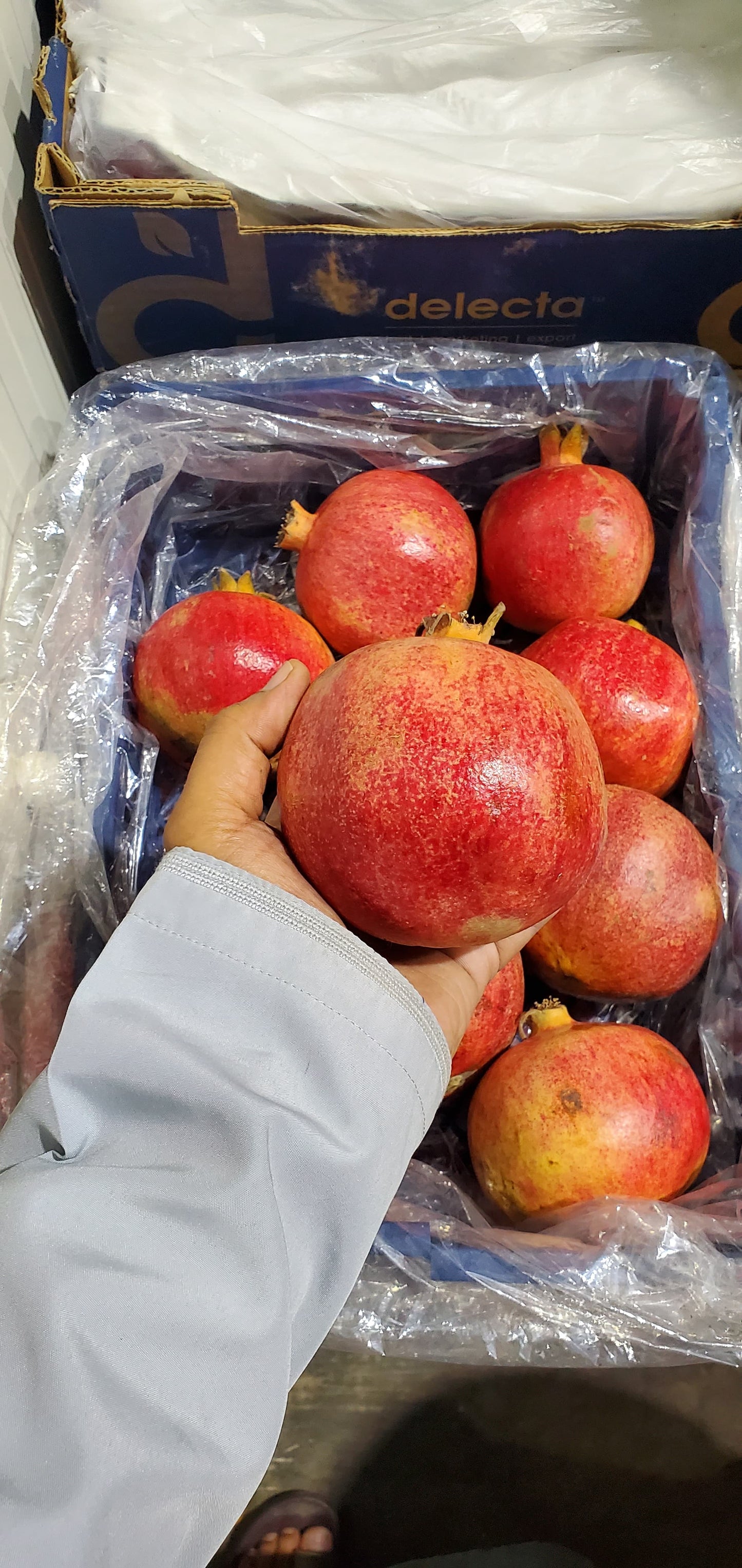 Pomegranate Egypt 3kg رمان مصري
