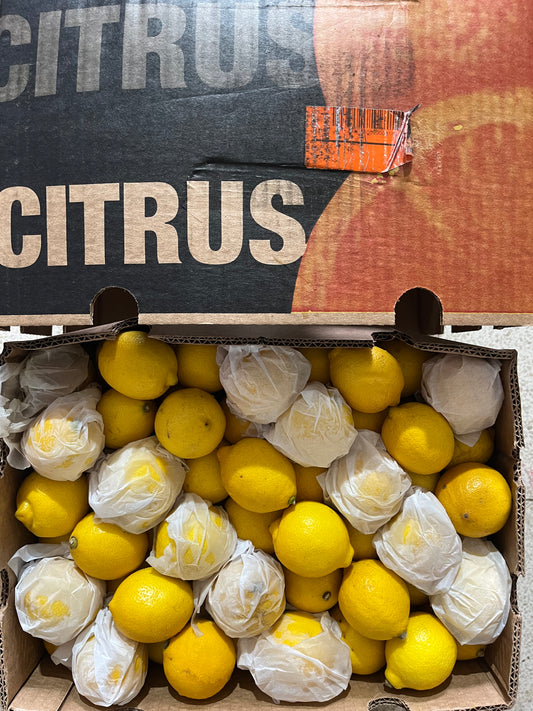 Lemon S/A 15kg ليمون/ ج افريقيا