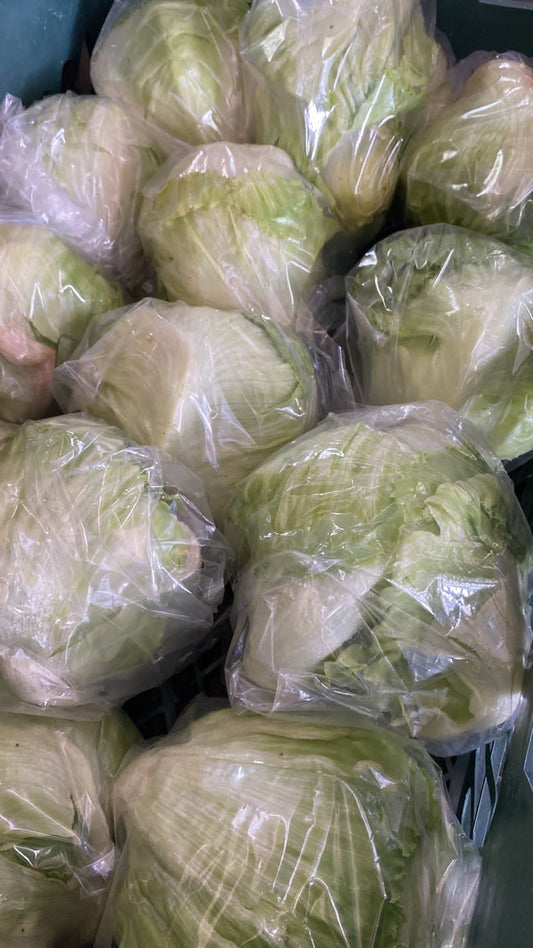 Lettuce (Iceberg) 4kg  خس ايسبيرج