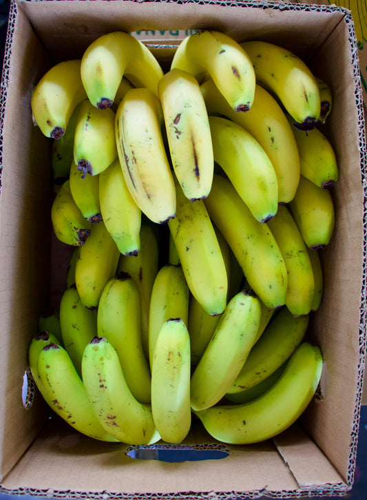 Banana/ India box 7kg  موز هندي