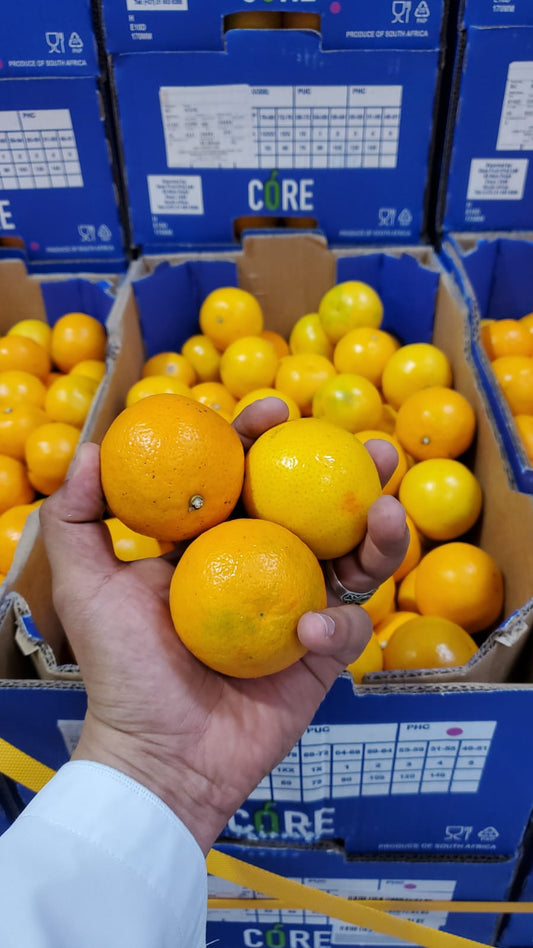 Mandarin/Africa Box 10kg سنترة ج/افريقيا
