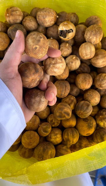 Lemon (Dry) Bag 10kg ليمون مجفف (يابس)