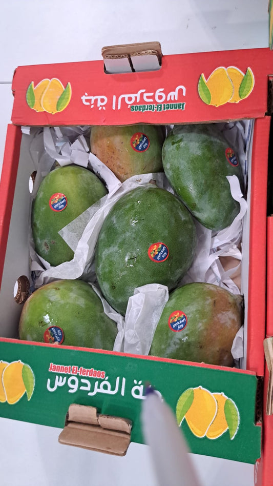 (Mango) Keeth/ Egypt مانجو كيت/ مصري