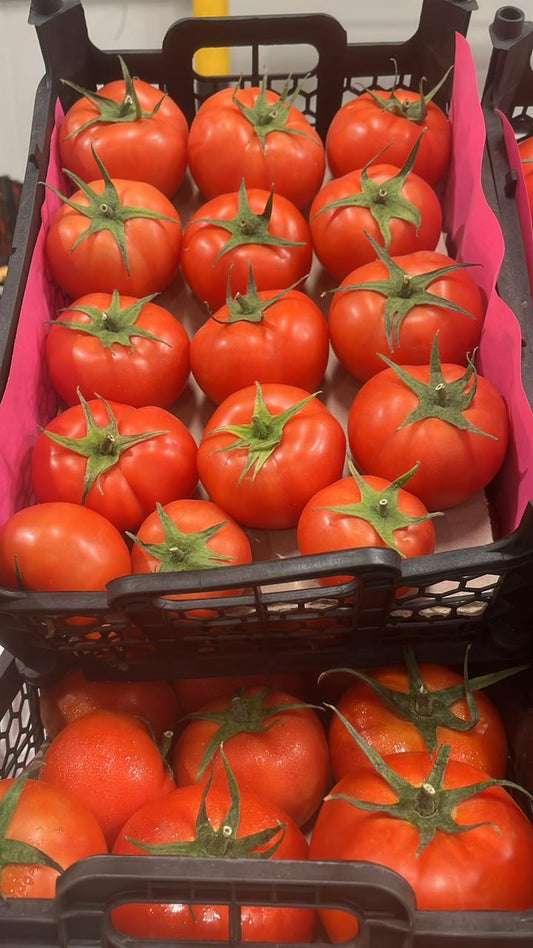 Tomato/ Iran 6kg طماطم ايراني