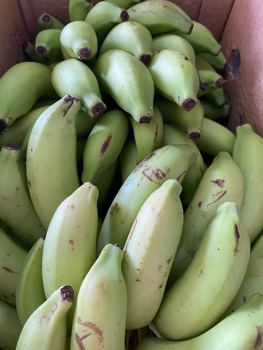 Banana/ Oman Box 4.5kg موز عماني