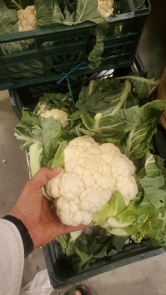 Cauliflower/ Iran 7-8kg قرنبيط (زهرة) ايراني
