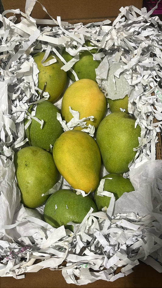 Mango/ India 3kg مانجو هندي