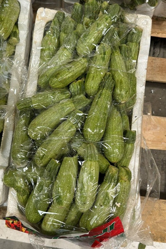 zucchini/ Jordan 4.5kg كوسه اردني