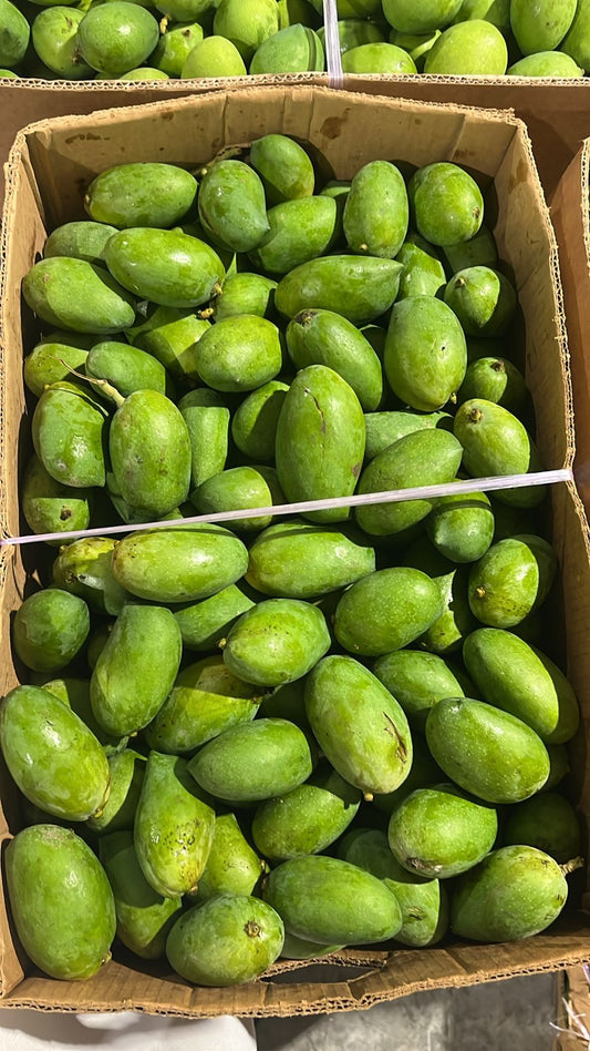 Green Mango/ Oman 20kg حدال/ امبا/ لمبا عماني