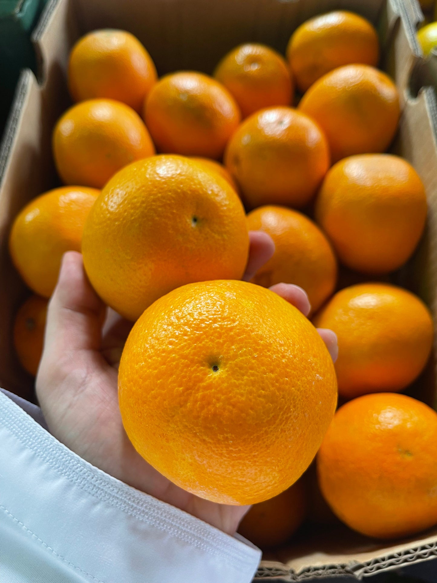 Orange Abusura open 6-7kg برتقال ابو صرة مصري مفتوح