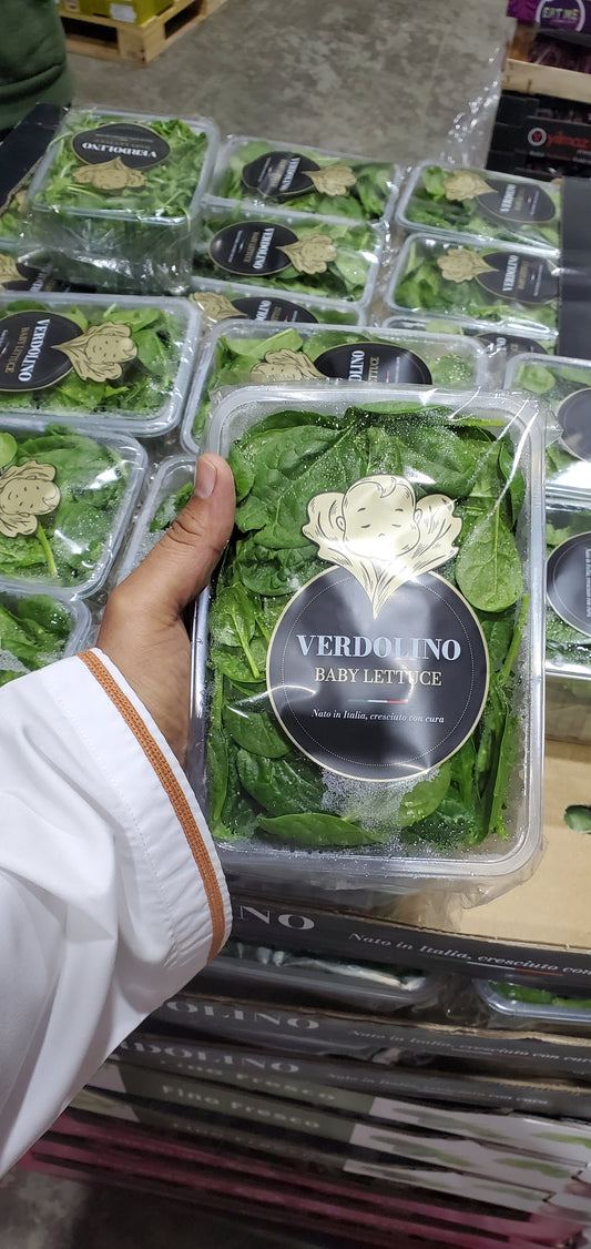 French baby spinach سبانخ بيبي فرنسي