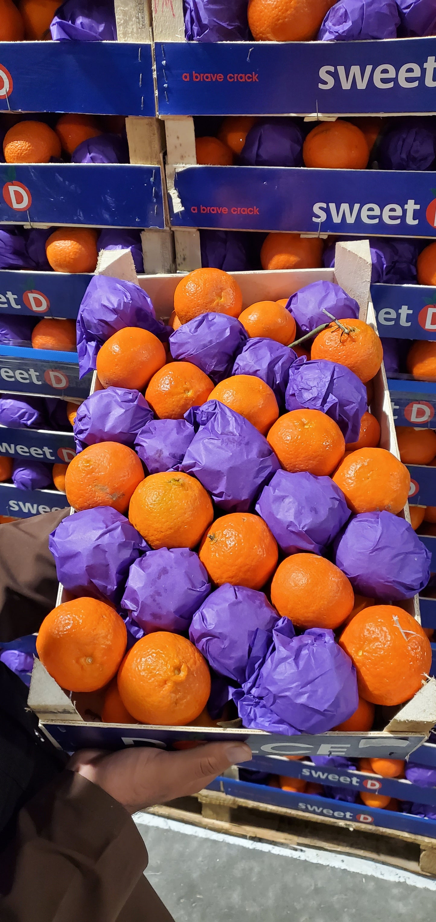 Mandarin/ Turkish 5kg سنترة تركية سلة