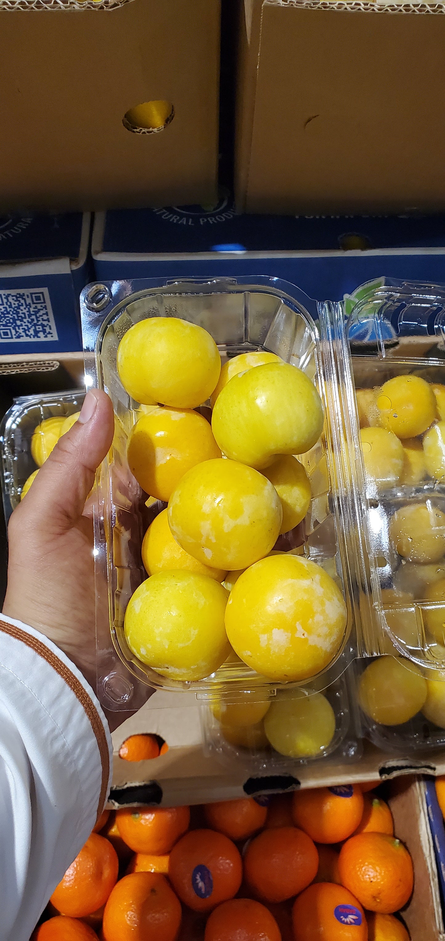 yellow plum S/Africa (1*5) برقوق اصفر افريقي