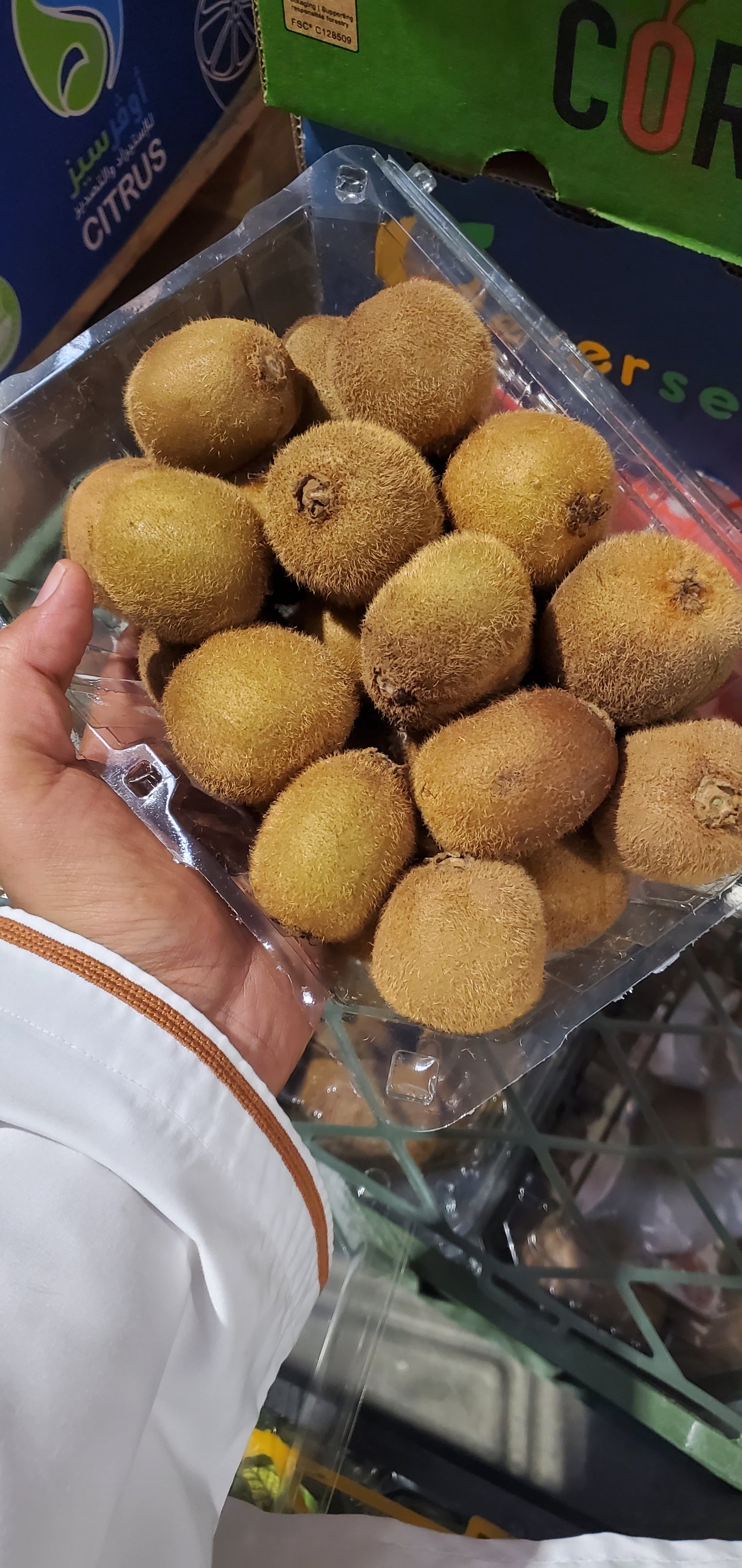 Kiwi/ Iran (1*6)  كيوي ايراني