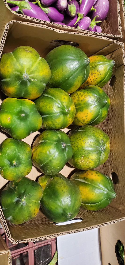 Papaya 10kg فيفاي