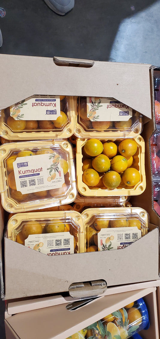 كمكوات (Kumquat)1*12