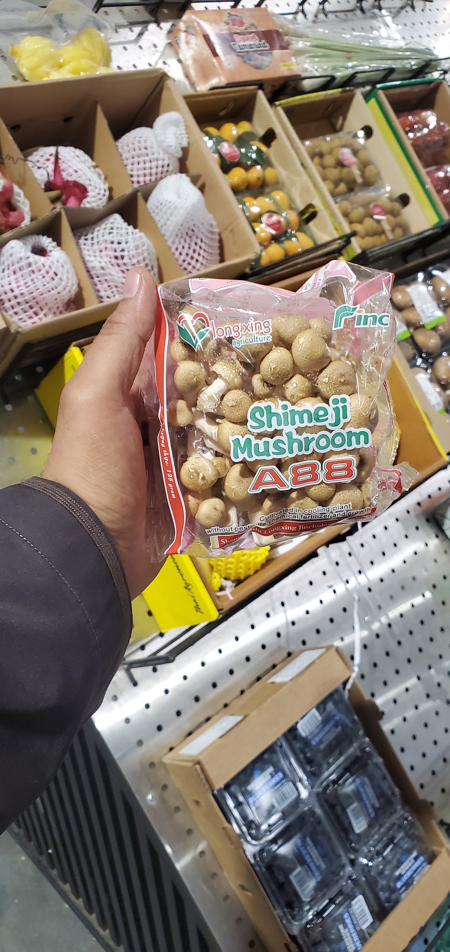 بيبي مشروم بني /تايلاندي