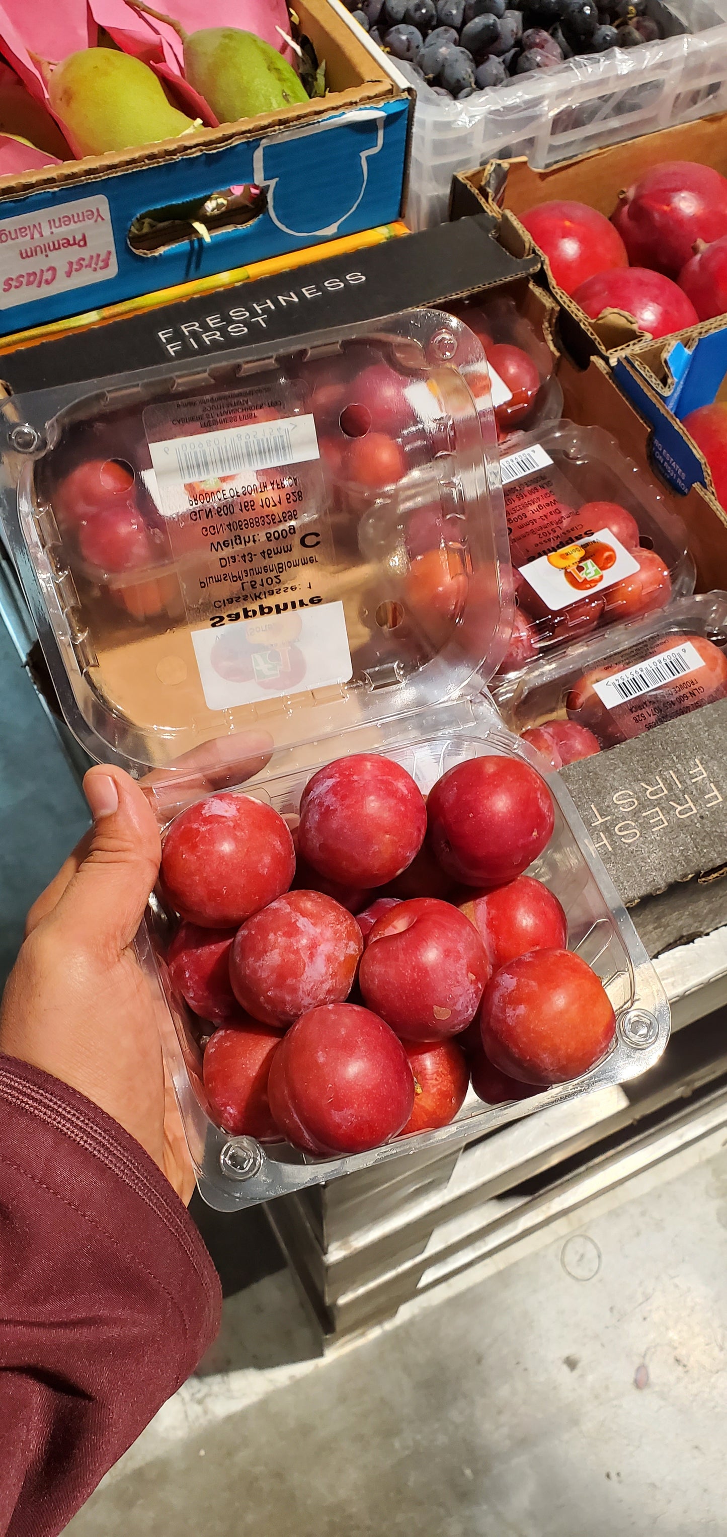 Red Plum S/Africa  (1*6) برقوق احمر افريقي