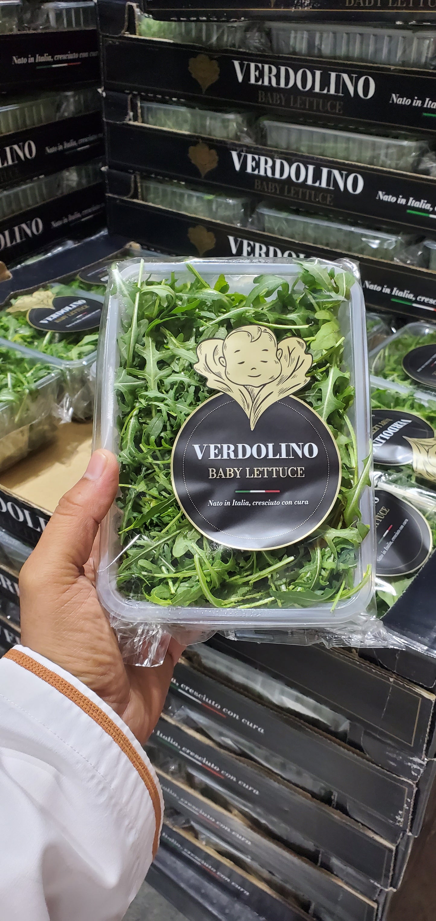 French baby rocket جرجير بيبي فرنسي