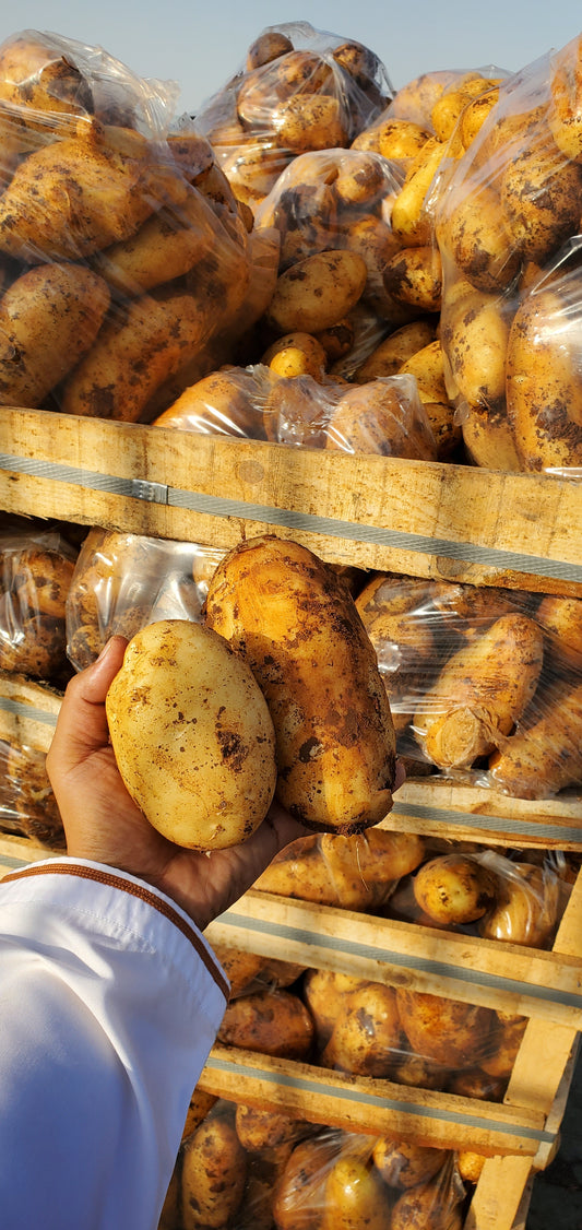 Potato/ Syria 20/18kg بطاطا سورية