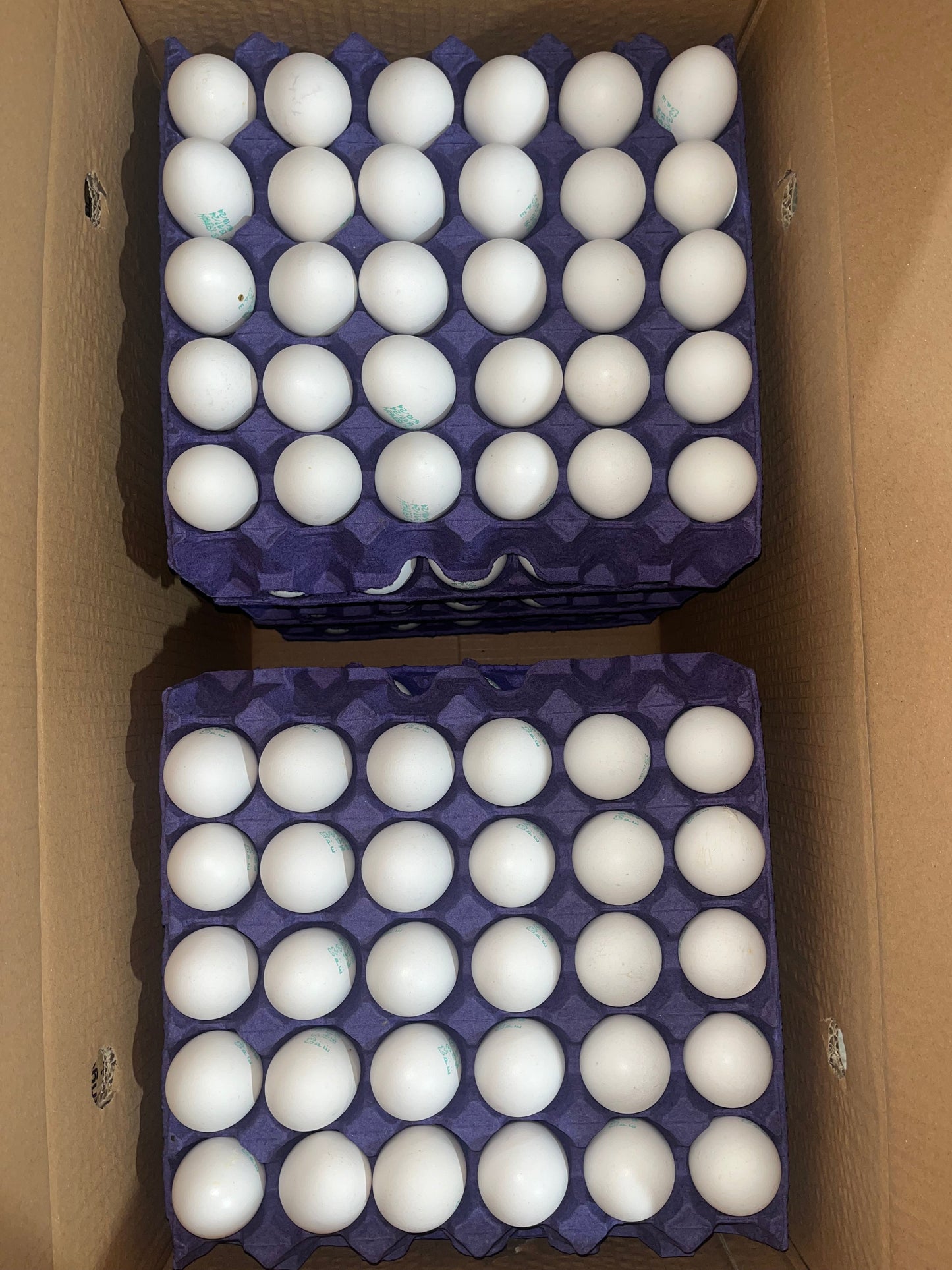 Eggs Al Dana xl (1*30)Pc بيض دانه