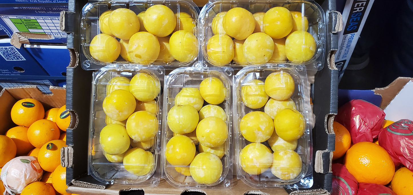 yellow plum S/Africa (1*5) برقوق اصفر افريقي