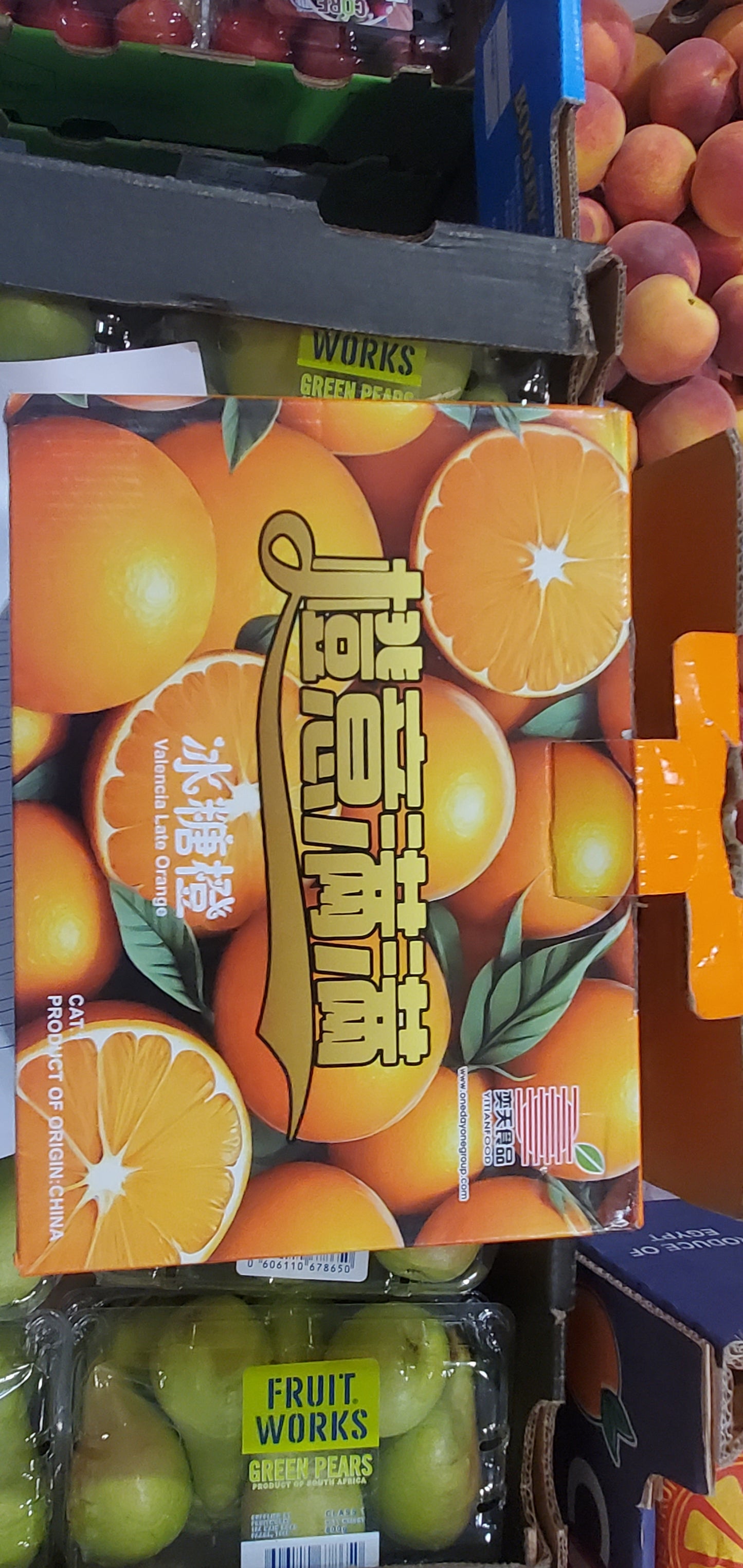 Mandarin (China)/pct  كرتوت سنترة صيني (باكيت)
