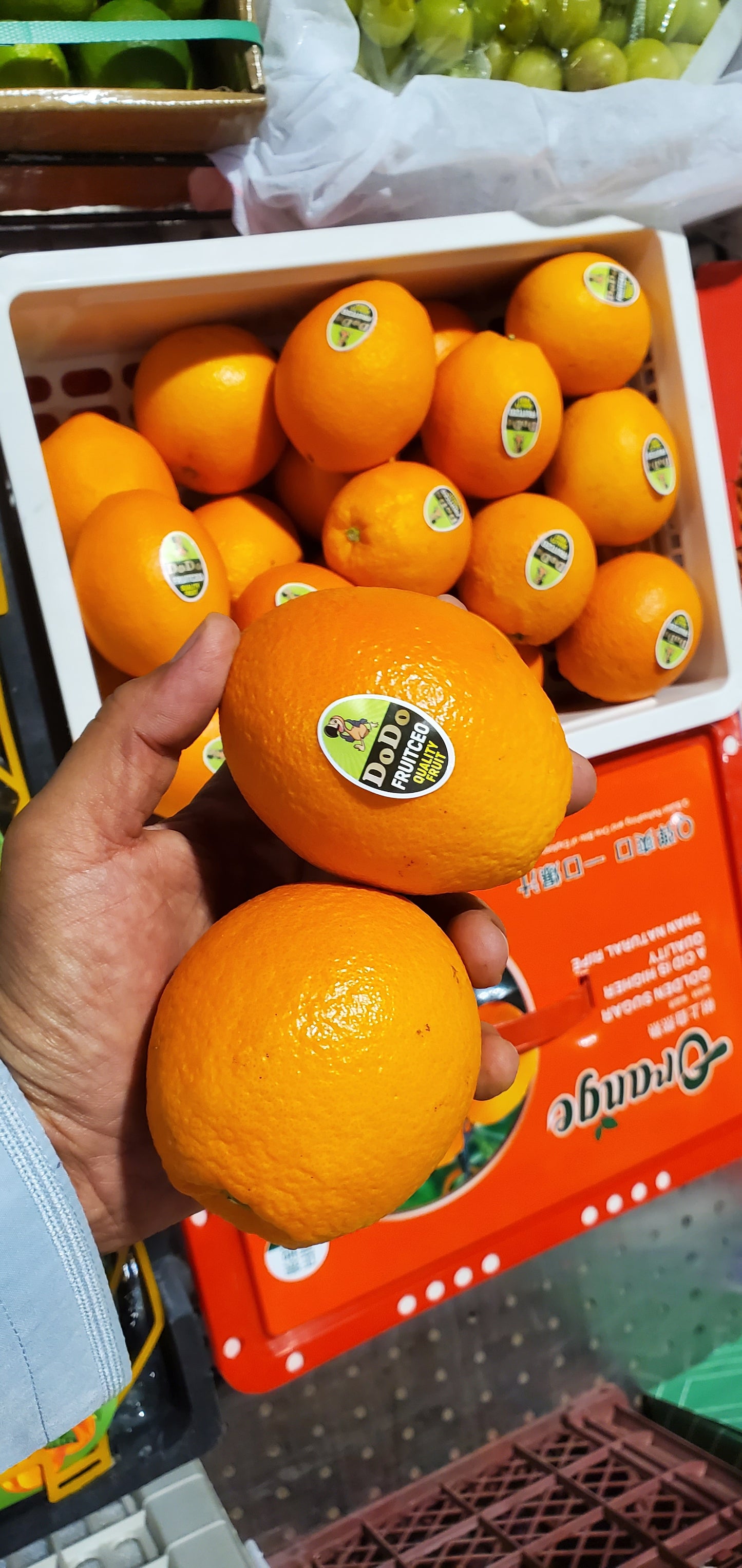 Orange navel/ China  7kg برتقال نافال صيني