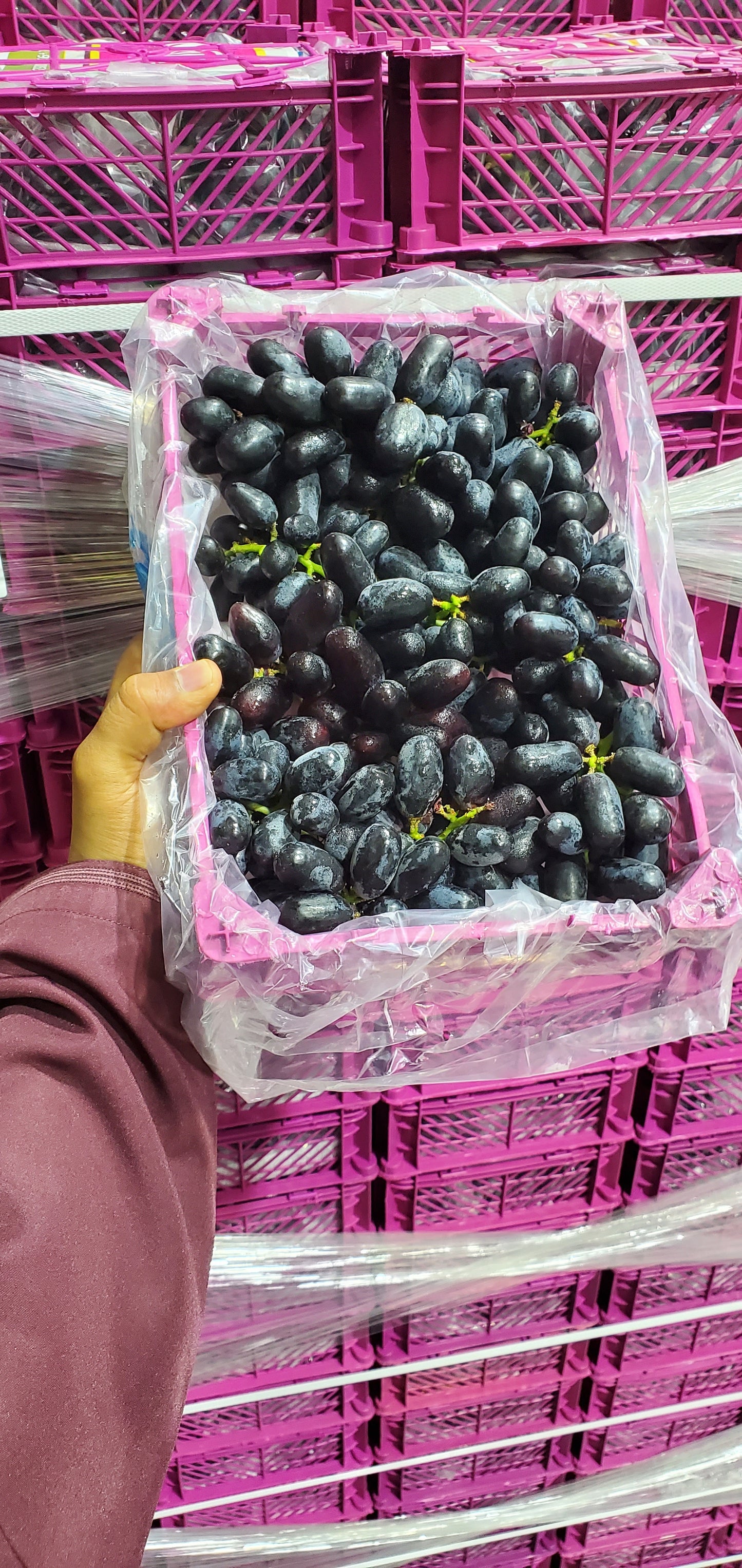 Grapes Black/ India 1.5-2kg عنب اسود هندي صغير